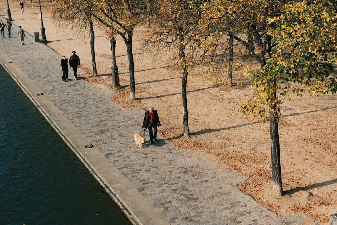 senior walking in park