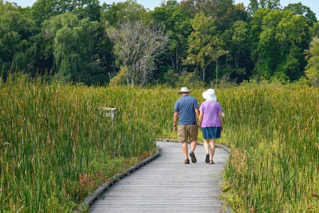 seniors hiking in nature