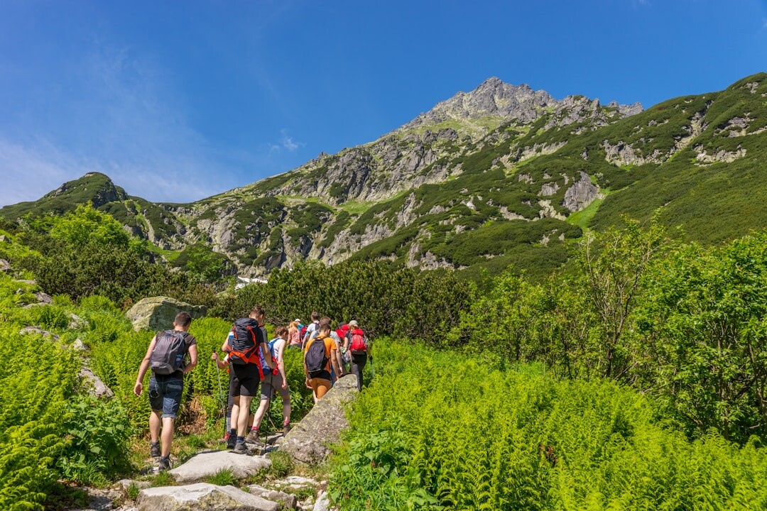 seniors hiking in mountains